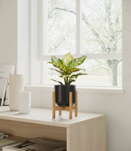 Charger l'image dans la galerie, Stone Black stand:light
