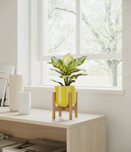 Charger l'image dans la galerie, Key Lime Yellow stand:light
