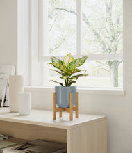 Charger l'image dans la galerie, Misty Blue stand:light
