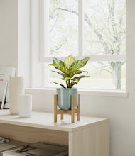 Charger l'image dans la galerie, Reactive Aqua stand:light
