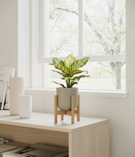 Lade das Bild in den Galerie-Viewer, Sage Green stand:light
