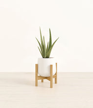 Load image into Gallery viewer, White stand:bamboo
