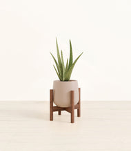 Load image into Gallery viewer, Eternal Gray stand:walnut
