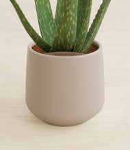 Load image into Gallery viewer, Eternal Gray stand:all
