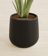 Load image into Gallery viewer, Black stand:all
