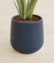 Load image into Gallery viewer, Deep Navy stand:all
