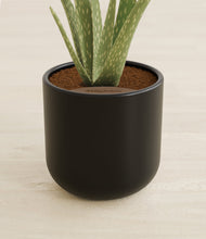 Load image into Gallery viewer, Stone Black stand:all
