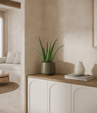 Load image into Gallery viewer, Olive
