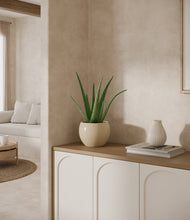 Load image into Gallery viewer, Shiny EggWhite
