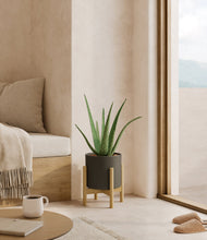 Load image into Gallery viewer, Dark Olive stand:bamboo
