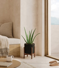 Load image into Gallery viewer, Black stand:walnut
