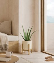 Load image into Gallery viewer, Cream stand:bamboo
