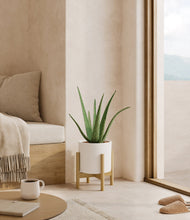 Load image into Gallery viewer, White stand:bamboo
