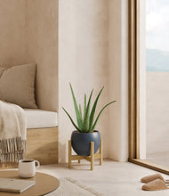 Load image into Gallery viewer, Deep Navy stand:bamboo
