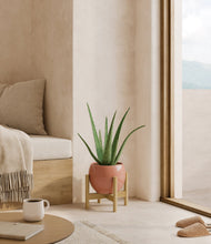 Load image into Gallery viewer, Calm Rose stand:bamboo
