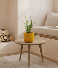 Load image into Gallery viewer, Mustard
