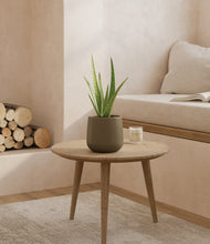 Load image into Gallery viewer, Olive
