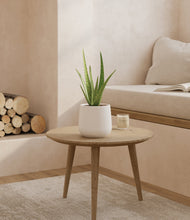 Load image into Gallery viewer, White
