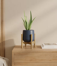 Load image into Gallery viewer, Deep Navy stand:bamboo
