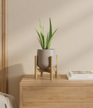 Load image into Gallery viewer, Eternal Gray stand:bamboo
