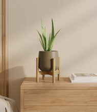 Load image into Gallery viewer, Olive stand:bamboo
