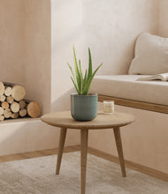 Load image into Gallery viewer, Reactive Aqua
