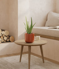 Load image into Gallery viewer, Glossy Red
