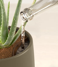 Load image into Gallery viewer, Olive stand:all
