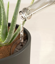 Load image into Gallery viewer, Dark Olive stand:all
