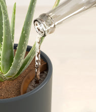 Load image into Gallery viewer, Iron Gray stand:all
