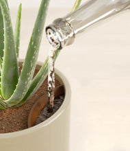 Load image into Gallery viewer, Sage Green stand:all
