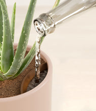 Load image into Gallery viewer, Sandy Pink stand:all
