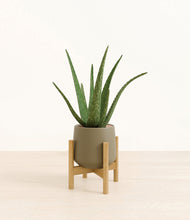 Load image into Gallery viewer, Olive stand:bamboo
