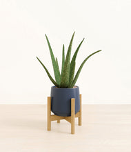 Load image into Gallery viewer, Deep Navy stand:bamboo
