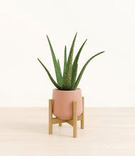 Load image into Gallery viewer, Calm Rose stand:bamboo
