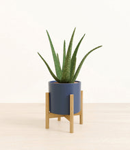 Load image into Gallery viewer, Deep Navy stand:bamboo
