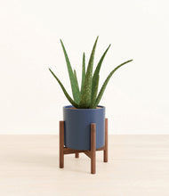 Load image into Gallery viewer, Deep Navy stand:walnut
