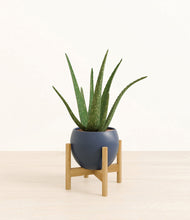 Load image into Gallery viewer, Deep Navy stand:bamboo
