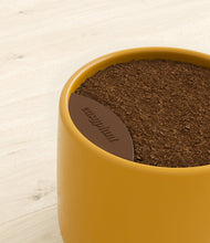 Charger l'image dans la galerie, Mustard stand:all

