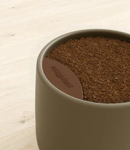 Charger l'image dans la galerie, Olive stand:all
