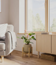 Load image into Gallery viewer, Olive stand:bamboo
