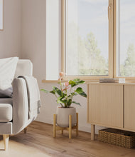 Load image into Gallery viewer, Eternal Gray stand:bamboo

