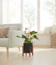 Load image into Gallery viewer, Black stand:walnut
