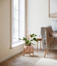 Load image into Gallery viewer, Calm Rose stand:bamboo
