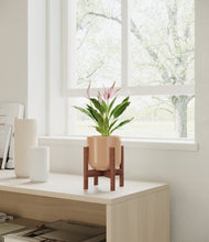 Load image into Gallery viewer, Glossy Pink stand:walnut
