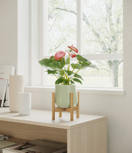 Load image into Gallery viewer, Turquoise stand:bamboo
