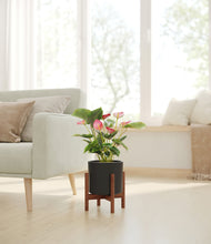 Load image into Gallery viewer, Black stand:walnut

