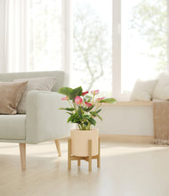 Load image into Gallery viewer, Cream stand:bamboo
