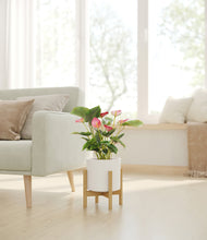 Load image into Gallery viewer, White stand:bamboo
