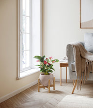 Load image into Gallery viewer, Desert Brown stand:bamboo
